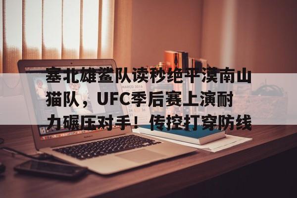  塞北雄鲨队读秒绝平漠南山猫队，UFC季后赛上演耐力碾压对手！传控打穿防线